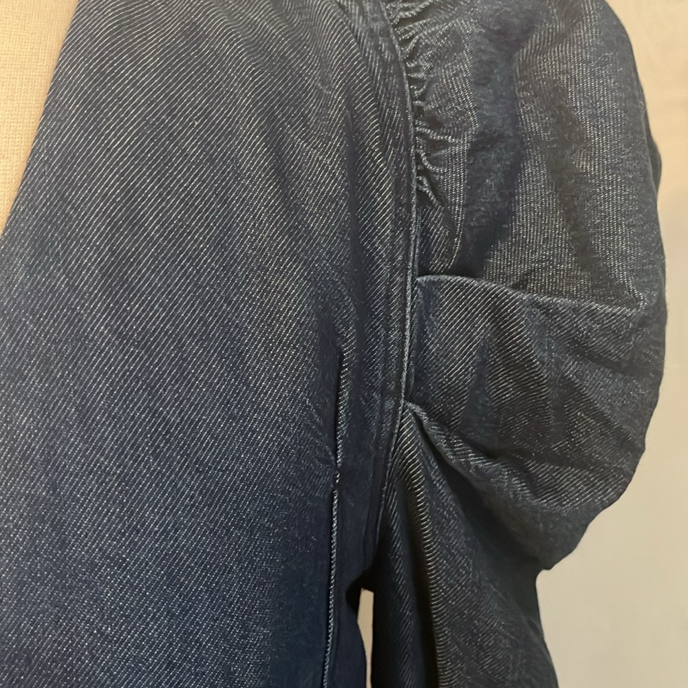 NWTS Zara Denim Mini Dress w/3/4 puff sleeves & back sliver zipper Size Large - Picture 8 of 16